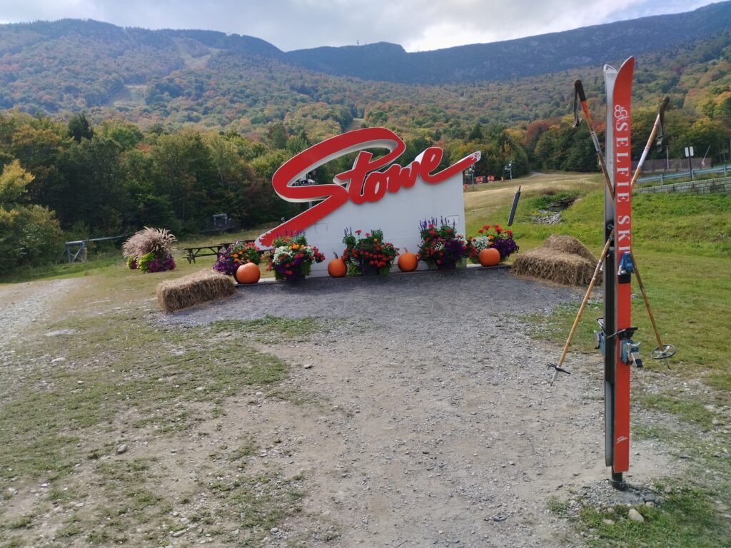 Signe Stowe