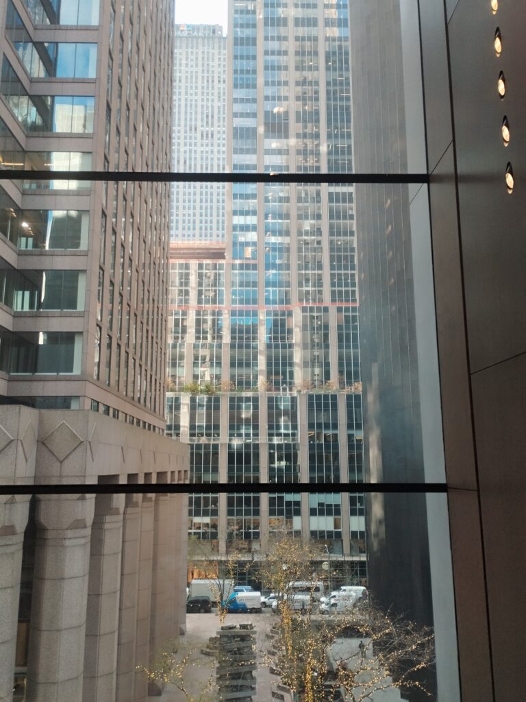 Moma