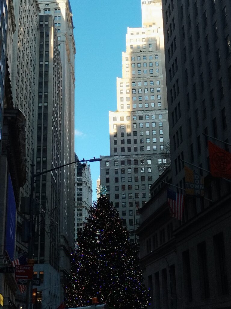  Financial District