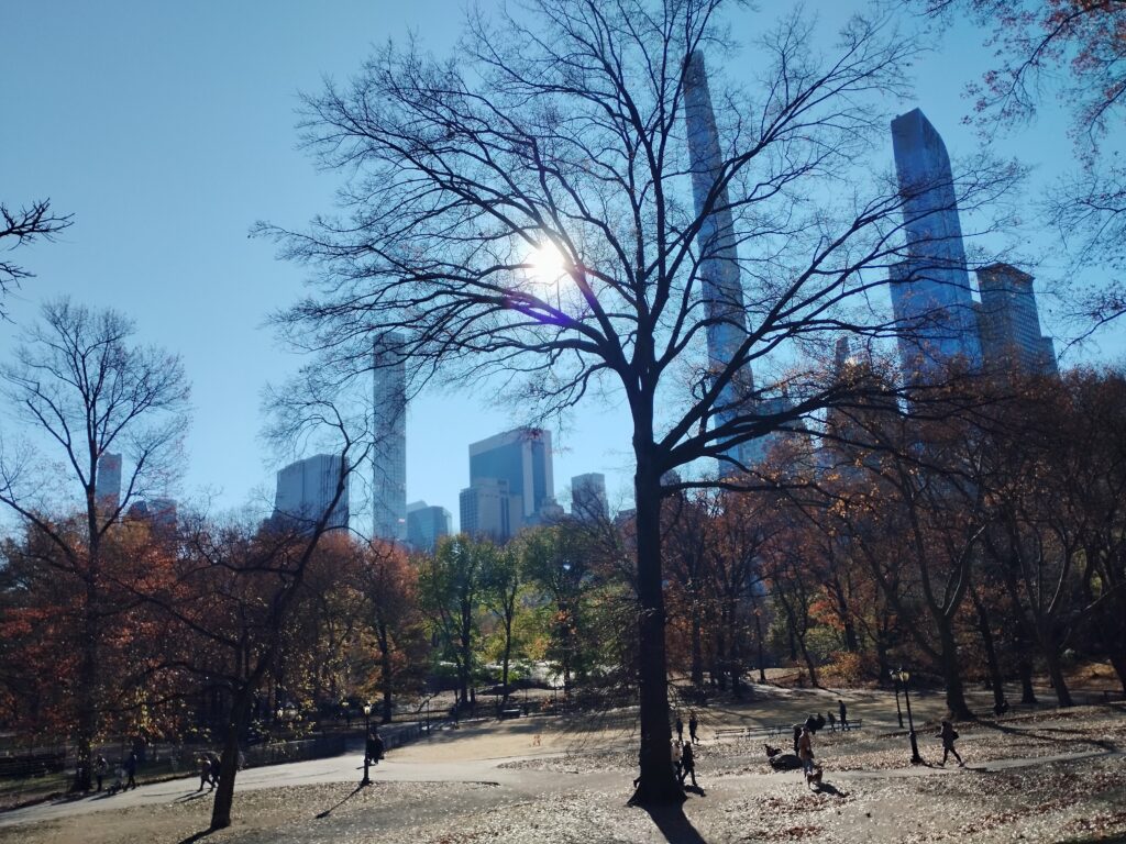 Central Park